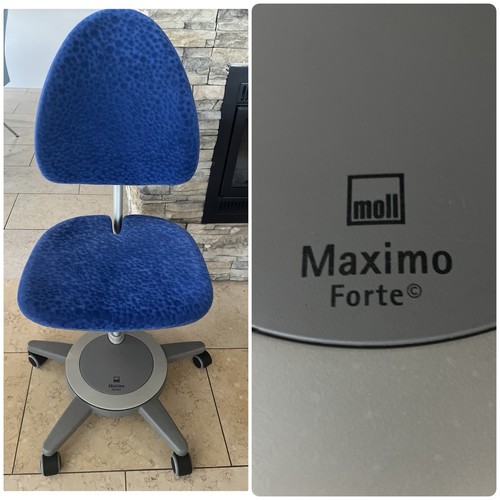 Moll maximo forte blau - moll, kinder